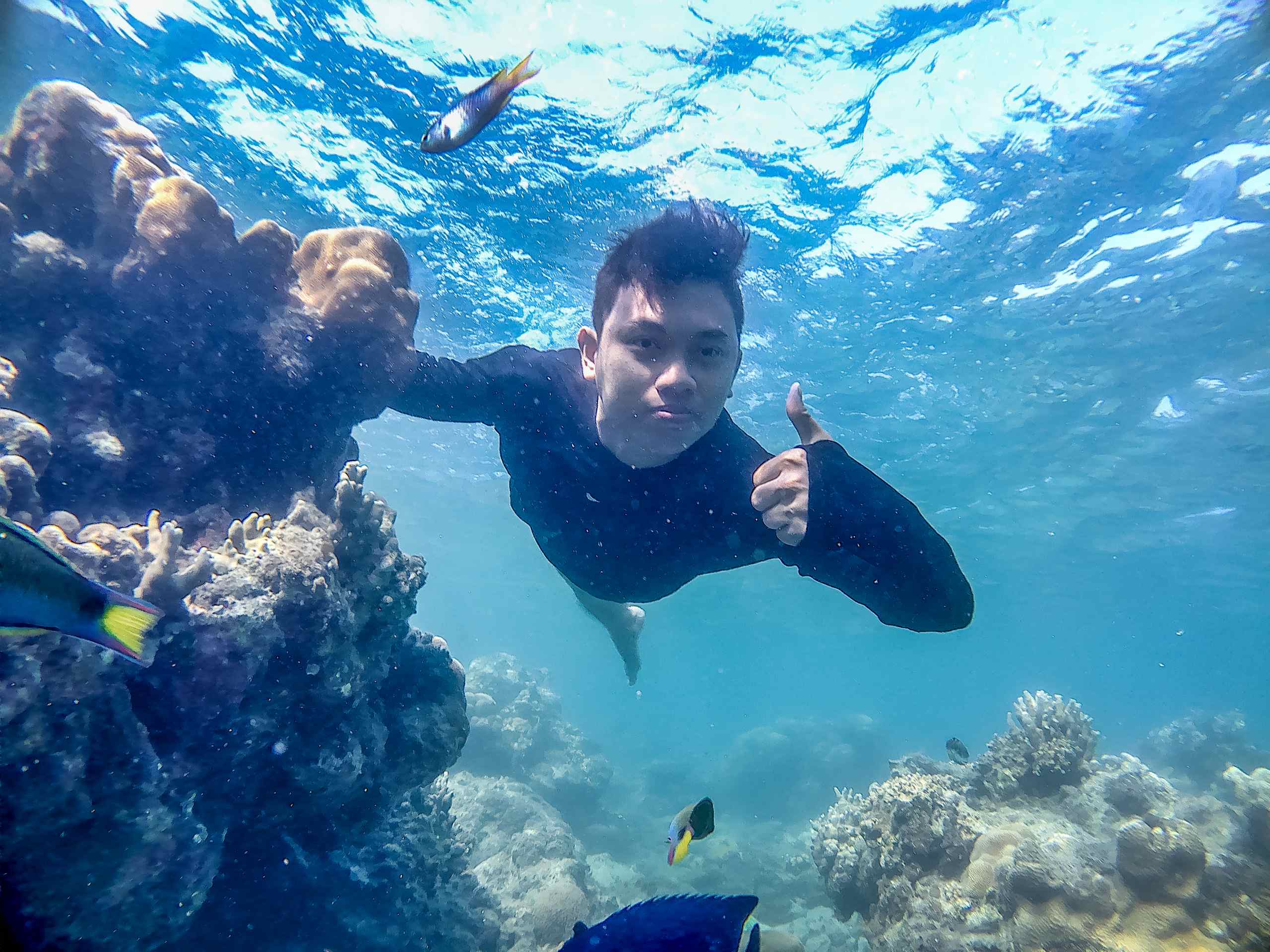 Dermaga Pulau Harapan