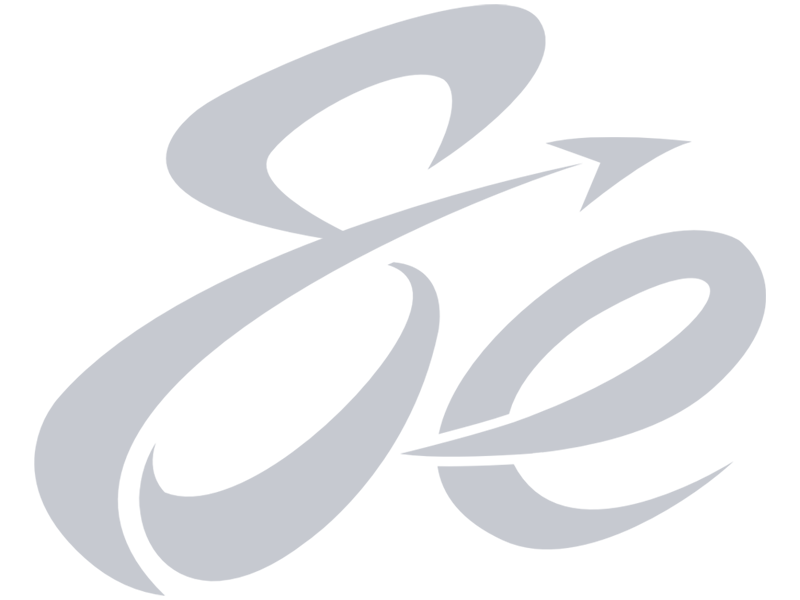 SLE Logo